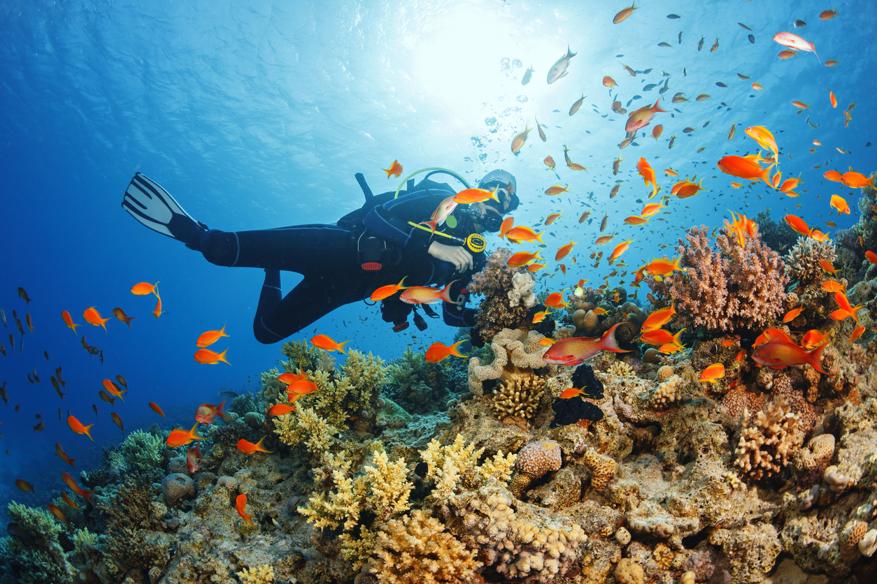 Diving